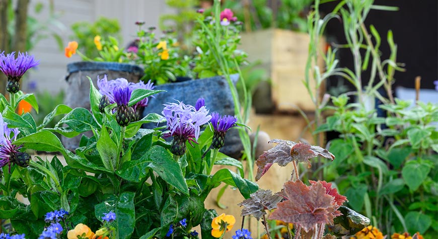 BBC Gardeners World Spring Fair