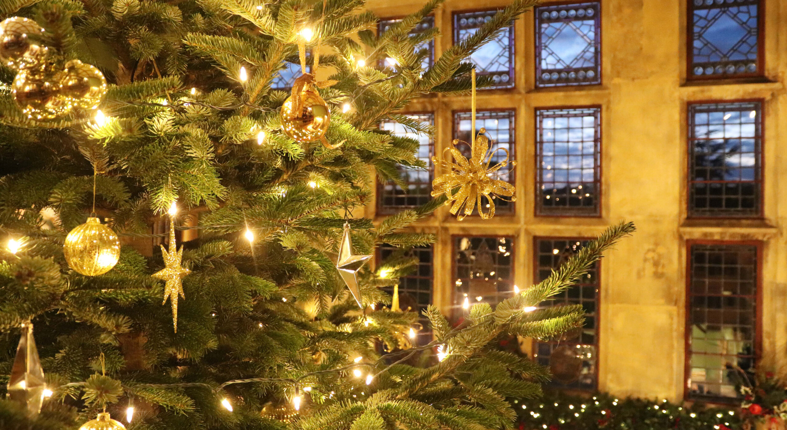 25-ft Christmas tree in Palace House