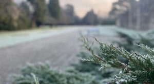 Frosty winter walks at Beaulieu