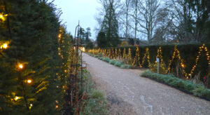 Festive lights in Beaulieu's grounds and gardens this Christmas