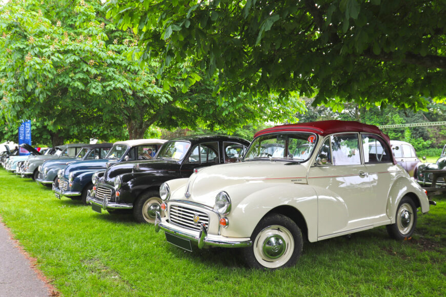 Moggyfest at Beaulieu Spring Autojumble