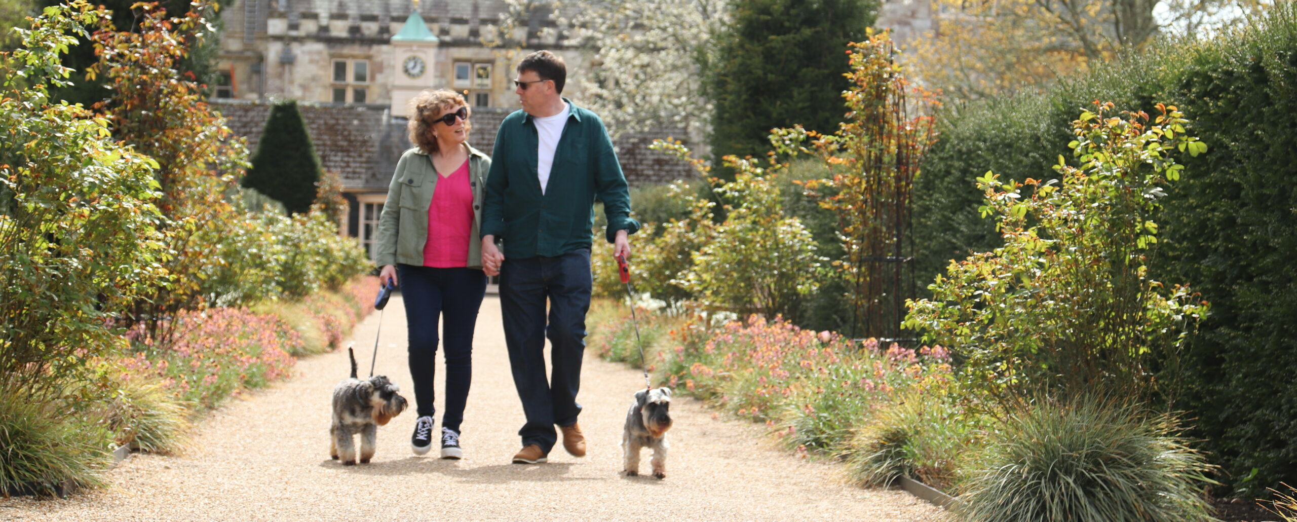 Dog friendly at Beaulieu